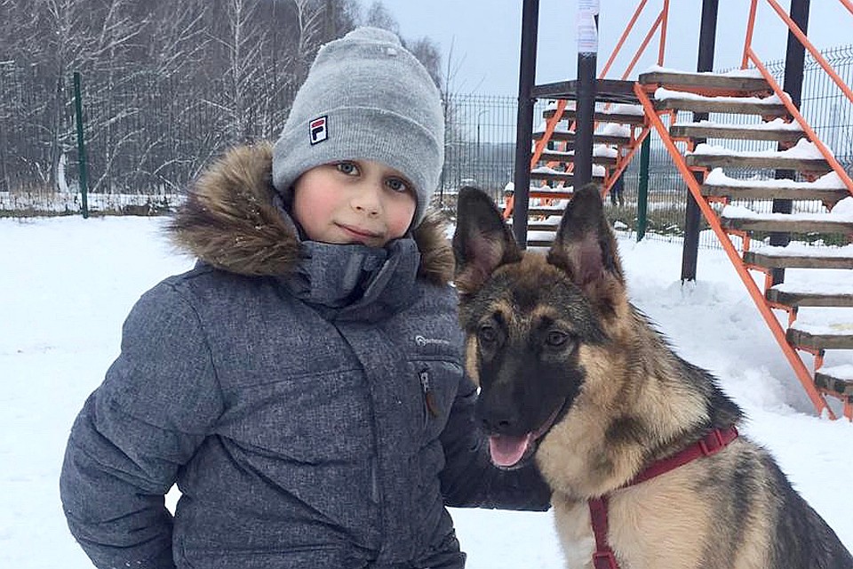 Сейчас Василиса чувствует себя хорошо, она очень ласковая и любопытная собака