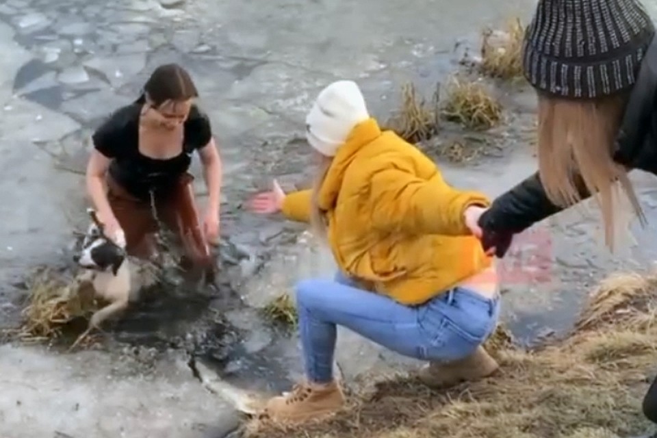 Алина Наумова недолго думала и бросилась на помощь собаке