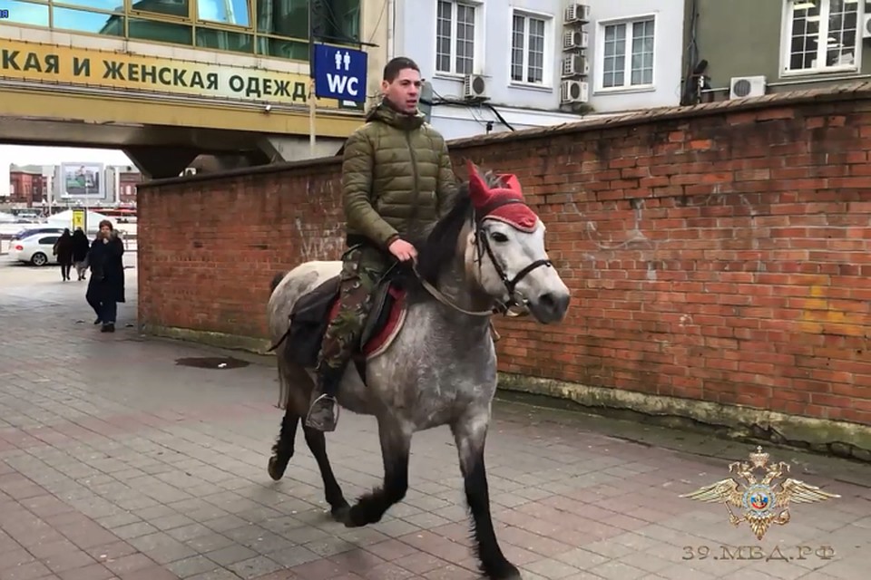 Денис Шипилов бросился за грабителем верхом на полупони.
