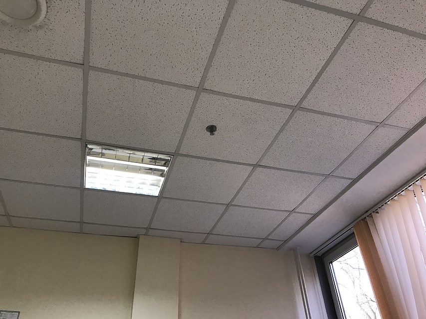 Женщина работала в офисе бухгалтером