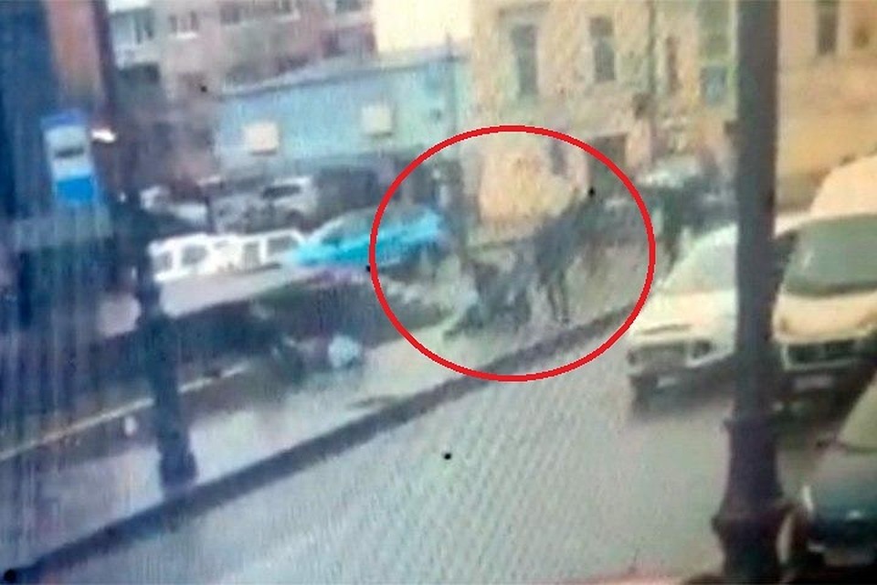 Мужчина задержал нападавшего голыми руками Фото: ГУ МВД по СПб и ЛО