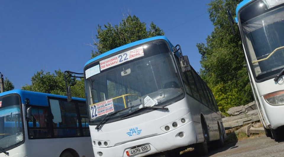 Автобусы тоже вышли на линию.