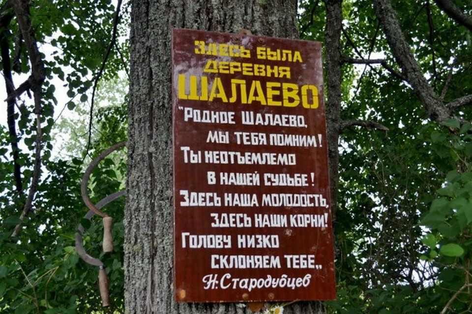 Отец и родственники русской американки жили в деревне Шалаево. Фото: bogorodskoe43.ru