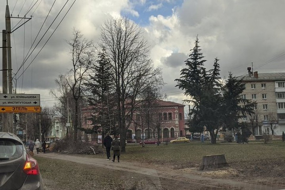 Фото: twitter.com. Maxbryansk.