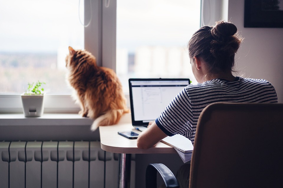 Эксперты дали советы, как лучше работать с сетью на удаленке
