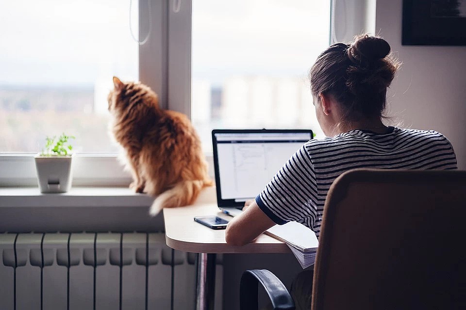 Чего следует ждать работникам в случае введения карантина в Беларуси?