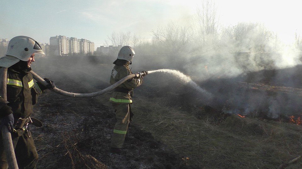 В Орловской области горело 112 гектаров сухой травы. Фото: пресс-служба ГУ МЧС России по Орловской области