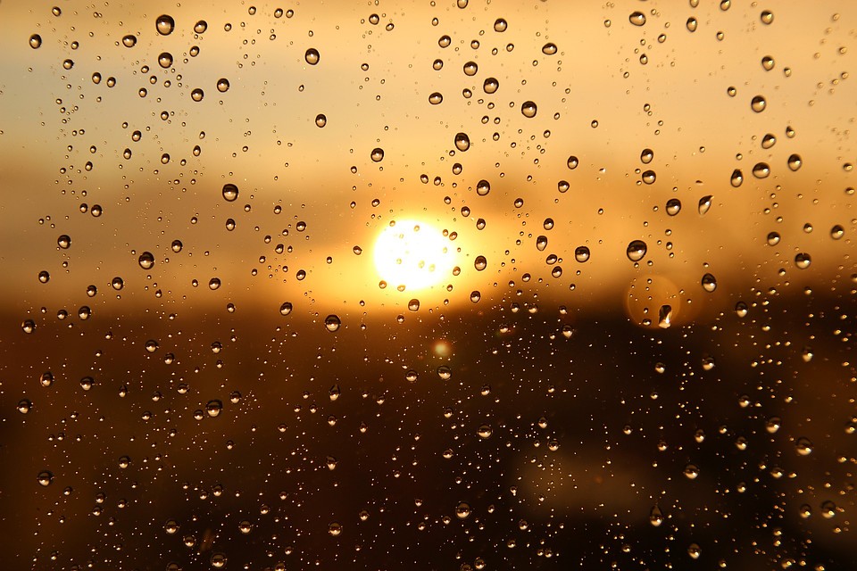Фото: pixabay.com