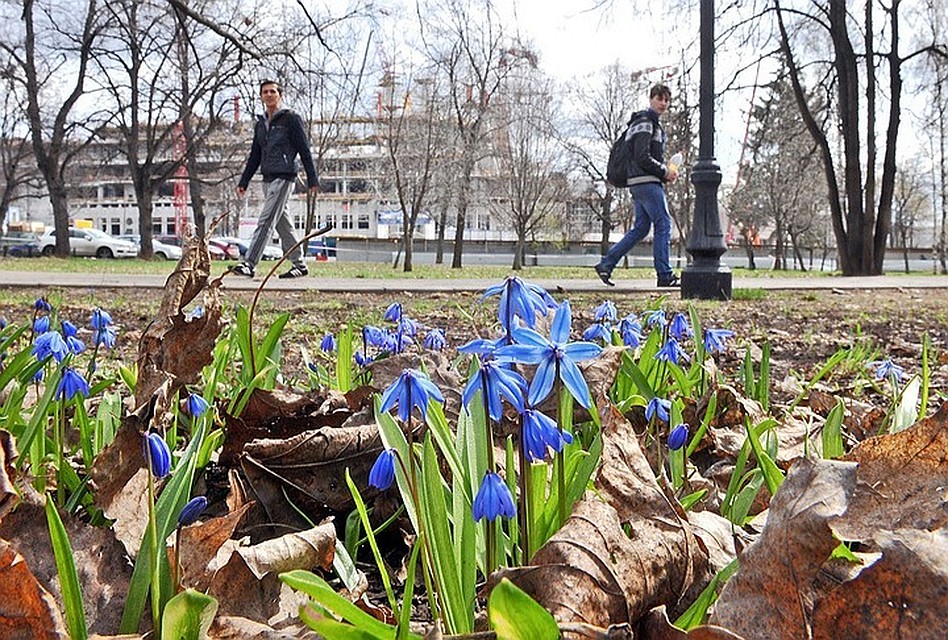 Москвичам пообещали тепло