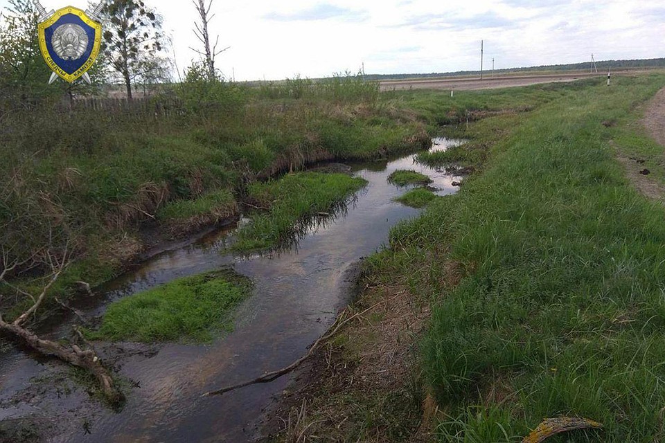 Двое избили мужчину, а потом выбросили в мелиоративный канал. Фото: Следственный комитет.