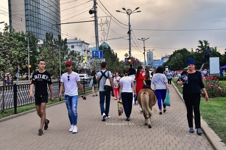 Потребуется месяц для проведения вступительной кампании в вузы ДНР. Фото: Евгении Карпачевой