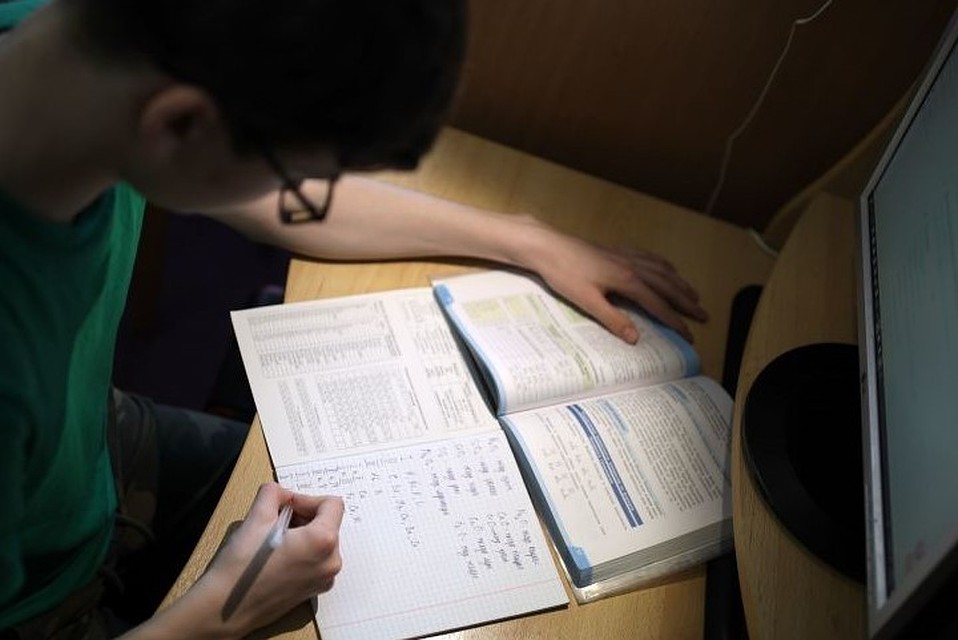 ЮНИСЕФ провели исследование первой волны дистанционного обучения в Беларуси. Фото: sputnik.by