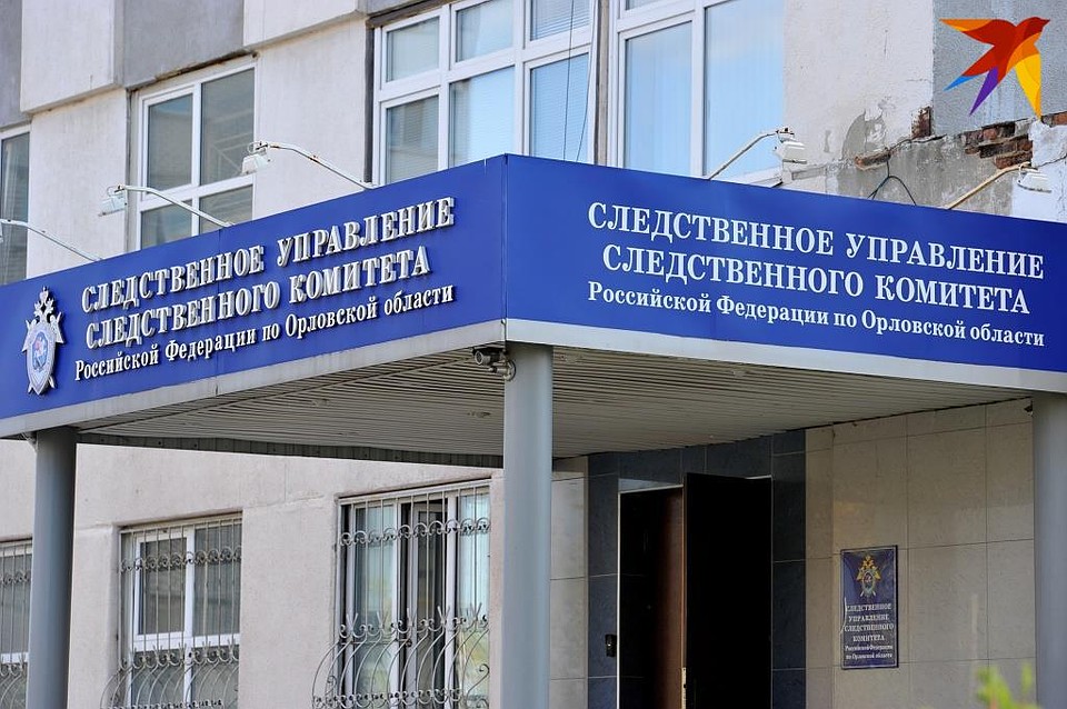 В Орле задержали 34-летнюю женщину, зарезавшую приятеля в Заводском районе