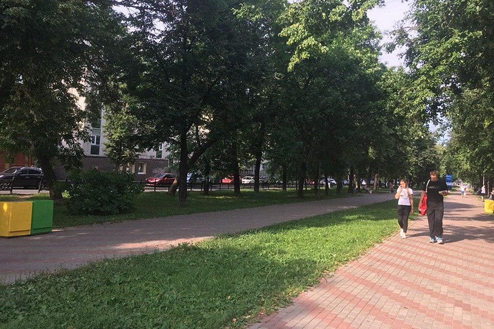 Интерактивы для детей, качели и лавочки с навесами: как изменится Звездинский сквер после благоустройства