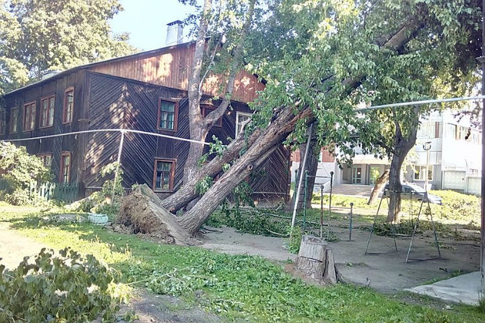 Дерево упало на газопровод на Ереванской Фото: АО «Екатеринбурггаз»