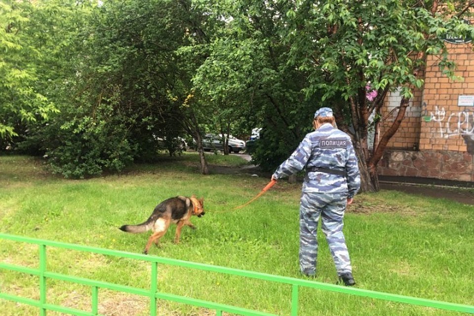 В городе объявлен план «Перехват». Фото: ГУ МВД России по Красноярскому краю.