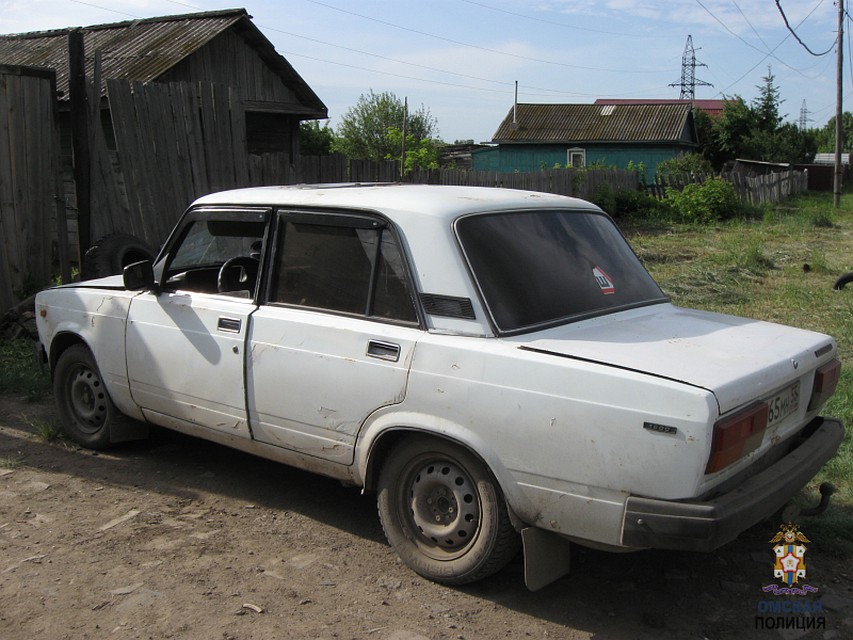 Фото: 55.мвд.рф