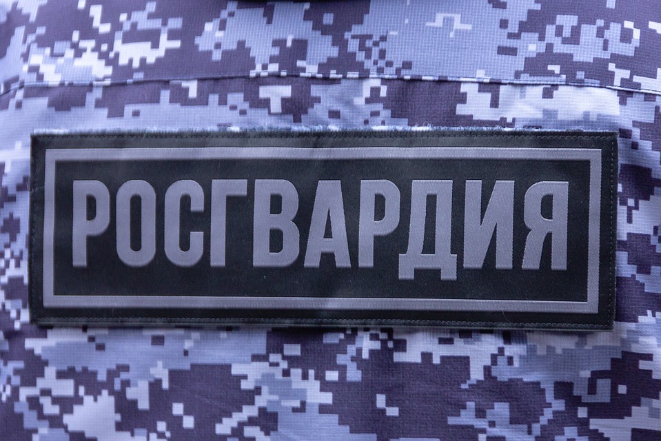 Белгородские росгвардейцы в рамках операции «Мак-2020» выявили 6 очагов дикорастущей конопли.