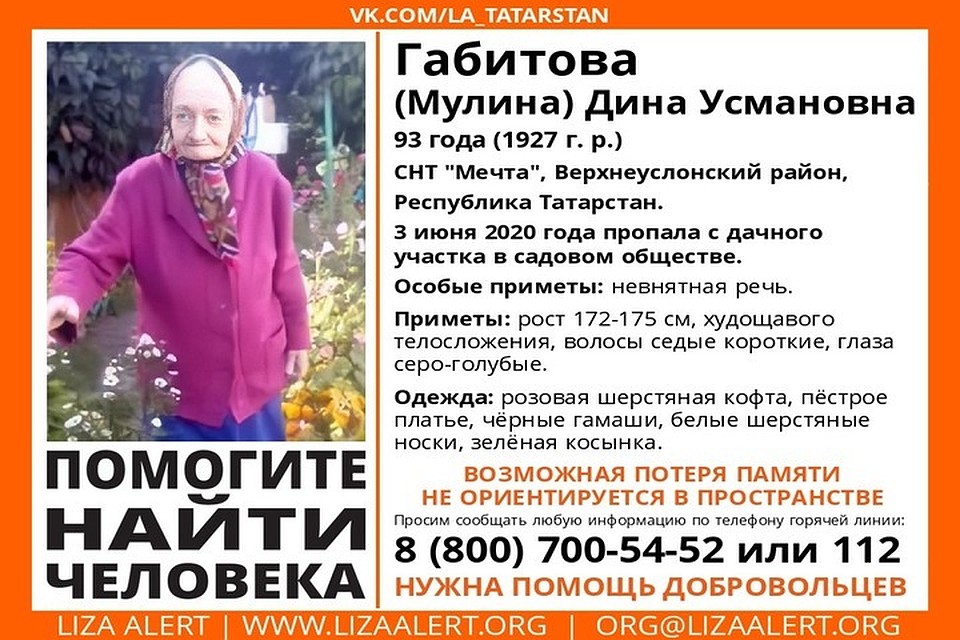 Фото: ПСО "Лиза Алерт"