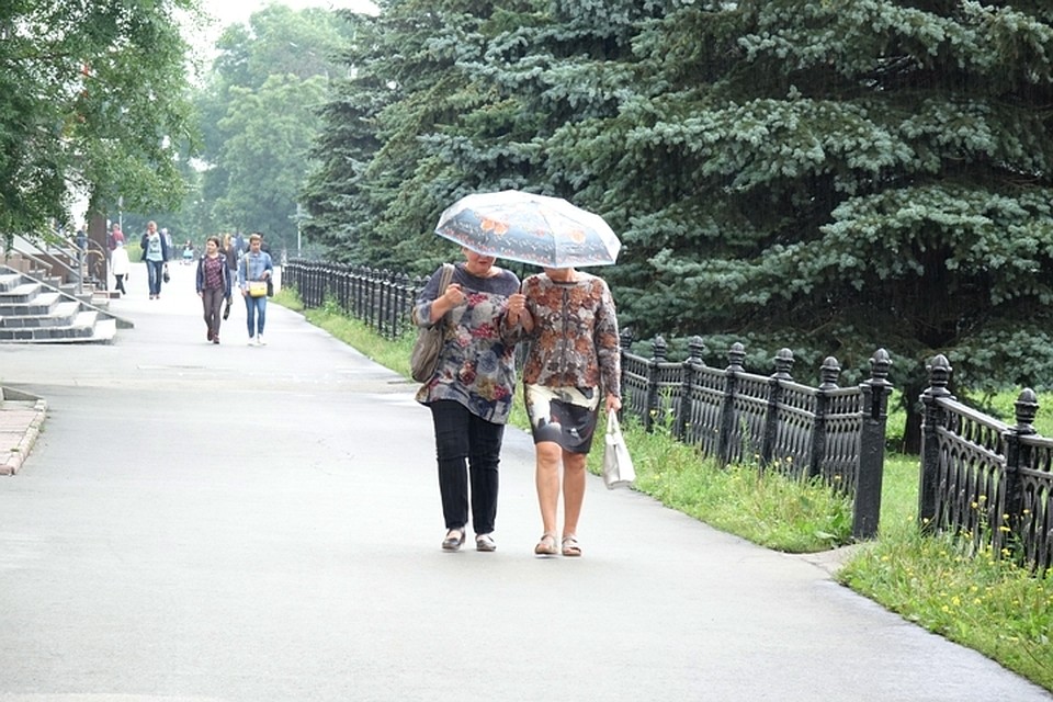 Дожди и ветер северный придут на выходных в Кузбасс