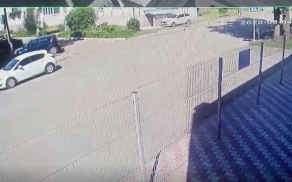 Фото: скриншот видео