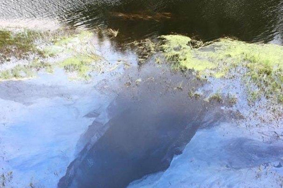 На поверхности воды плавает громадное пятно неизвестного происхождения
