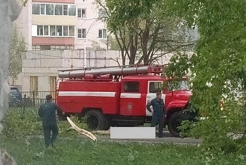 Фото: пресс-служба СКР по Свердловской области