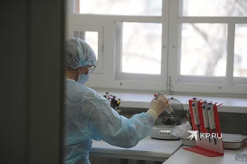В крае выявлено 62 новых случая заболевания COVID 19
