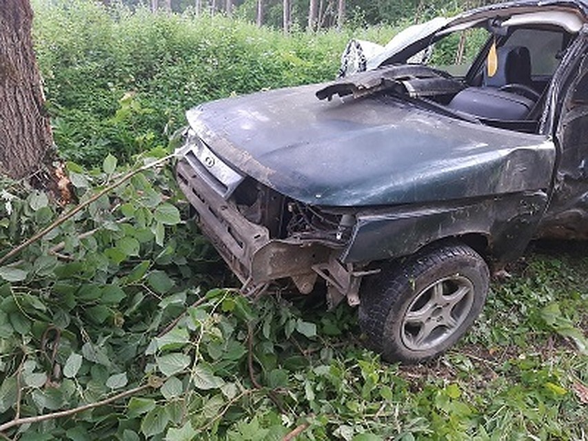 На трассе под Сычевкой погиб водитель легкового автомобиля. Фото: УГИБДД РФ по Смоленской области.