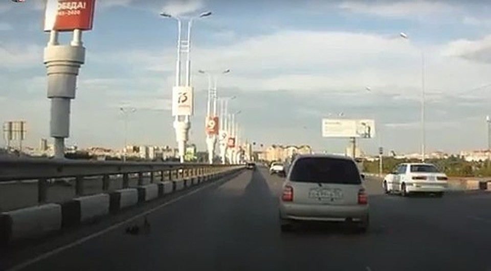 Фото: скриншот видео (YouTube)