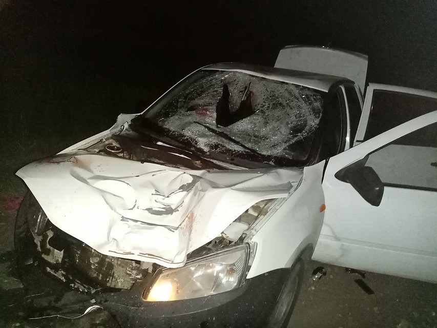 Водитель 12 дней назад получил права