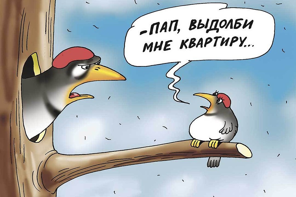 Вопрос дня: А вы свою жилищную проблему решили?