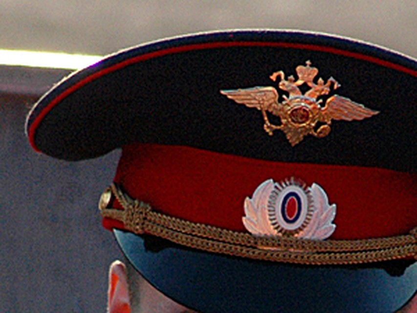 Закон "О полиции" может вступить в силу в 2011 году