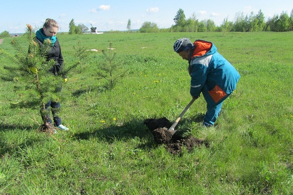 Посадка за городом Посадка за городом