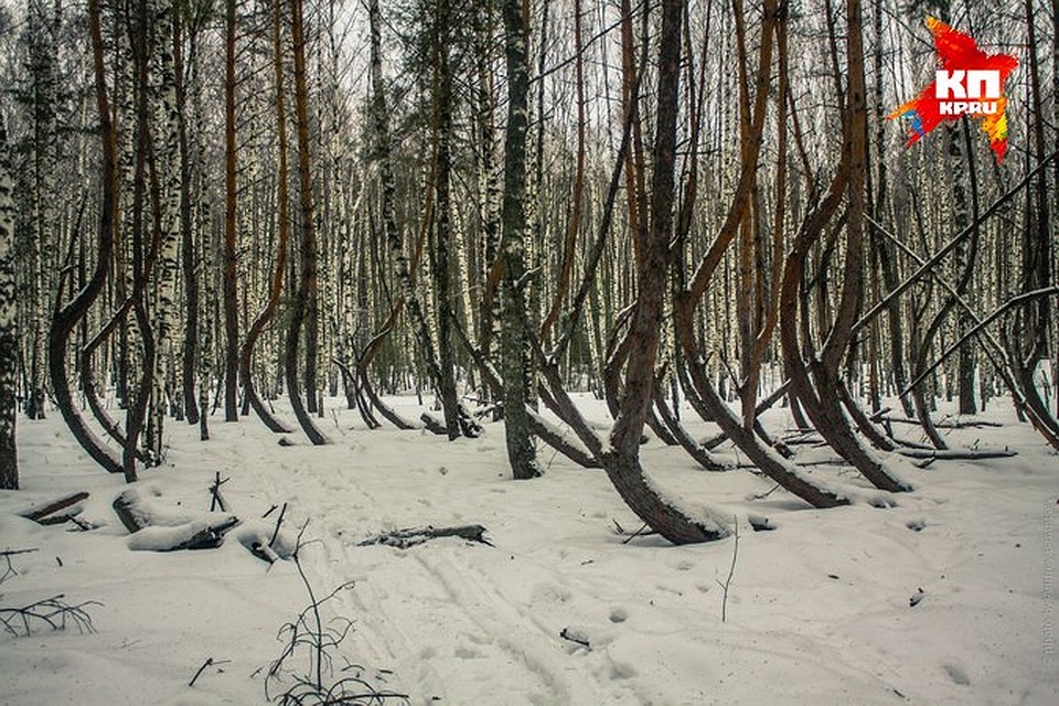 Фото: Андрей БАРАНЦЕВ.