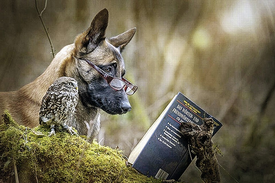 Фото: facebook.com/tanja.brandt