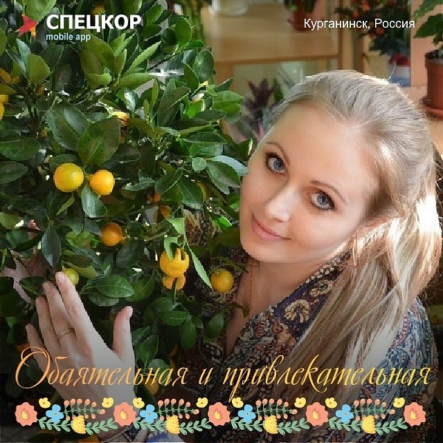 Фото: Мобильное приложение «Спецкор» от «Комсомольской правды»