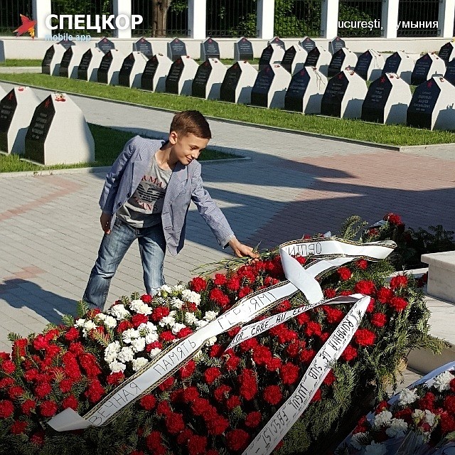 Фото: Мобильное приложение «Спецкор» от «Комсомольской правды»