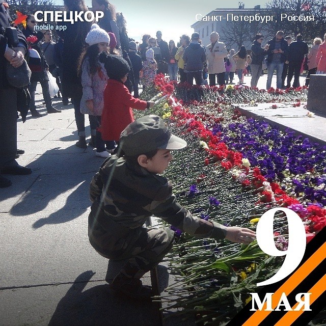 Фото: Мобильное приложение «Спецкор» от «Комсомольской правды»