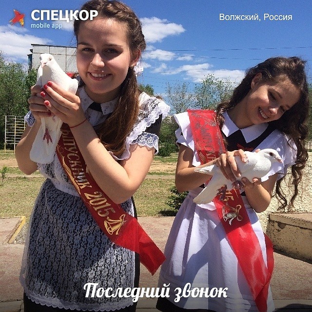 Фото: Мобильное приложение «Спецкор» от «Комсомольской правды»