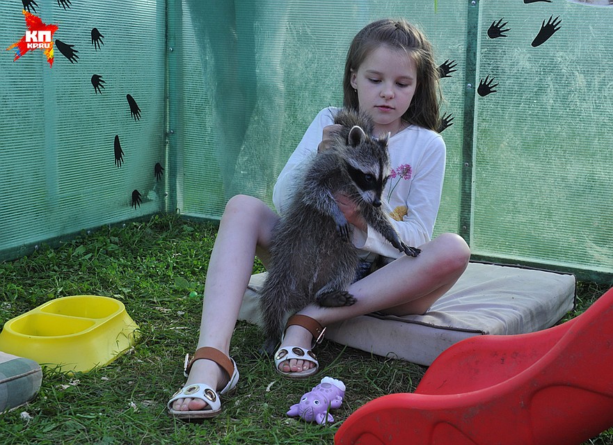 Фото: Михаил ФРОЛОВ