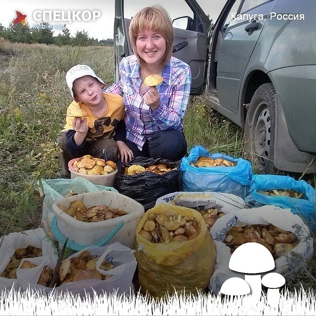 Фото: Мобильное приложение «Спецкор» от «Комсомольской правды»