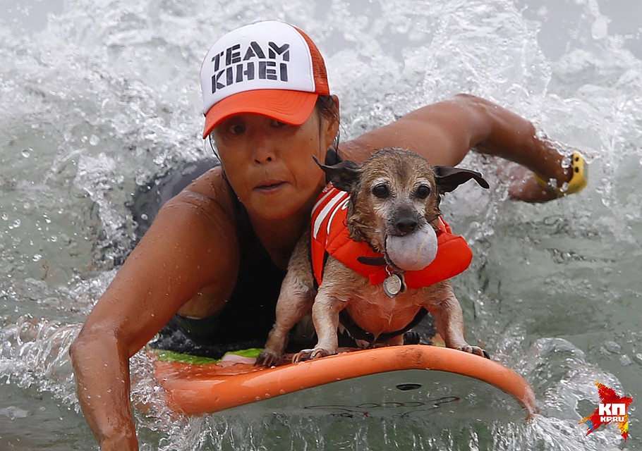 Фото: REUTERS