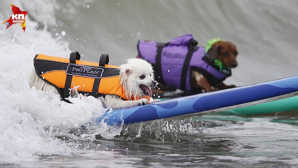 Фото: REUTERS