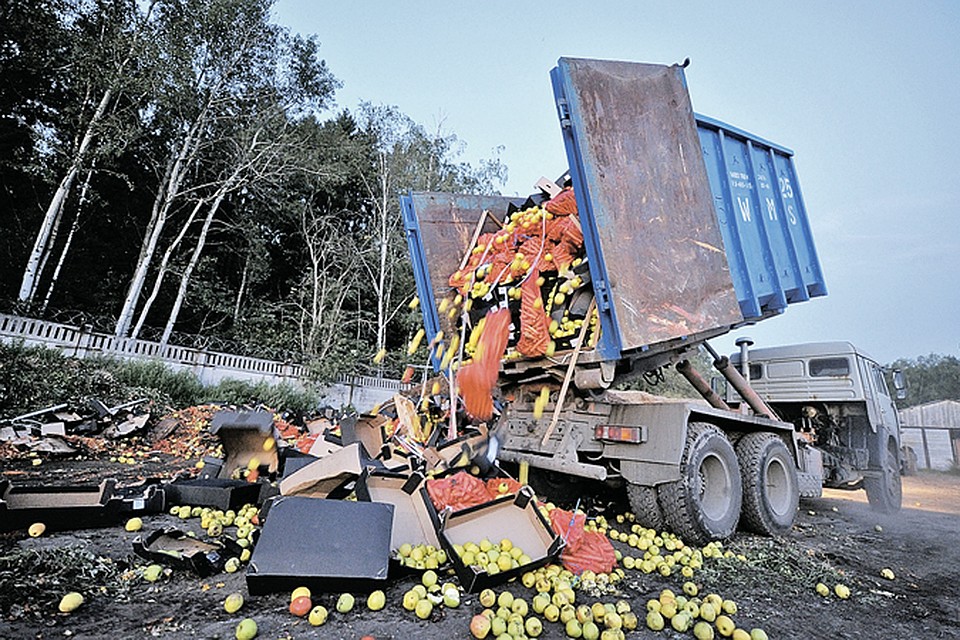 С 6 августа в России решено уничтожать продукты, ввезенные из Европы в обход запрета.