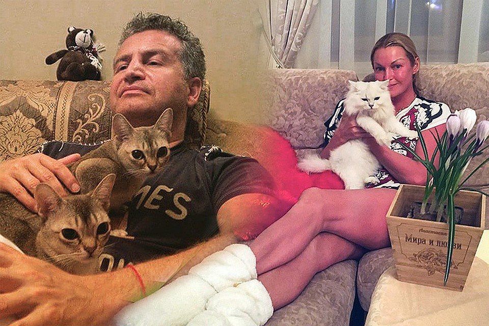 В международный день кошек «Комсомолка» собрала обладателей самых мимимишных домашних питомцев