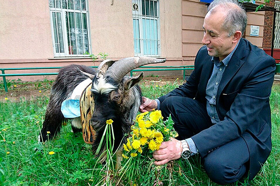 Фото: Дмитрий Мезенцев, Приморский Сафари-парк http://safaripark25.ru