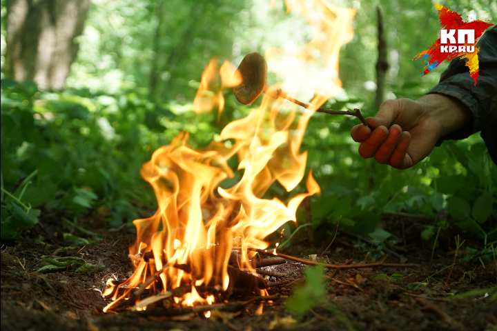 В лесу под поселком Сарга потерялись четыре подростка. Детей ищут десятки спасателей и полицейских