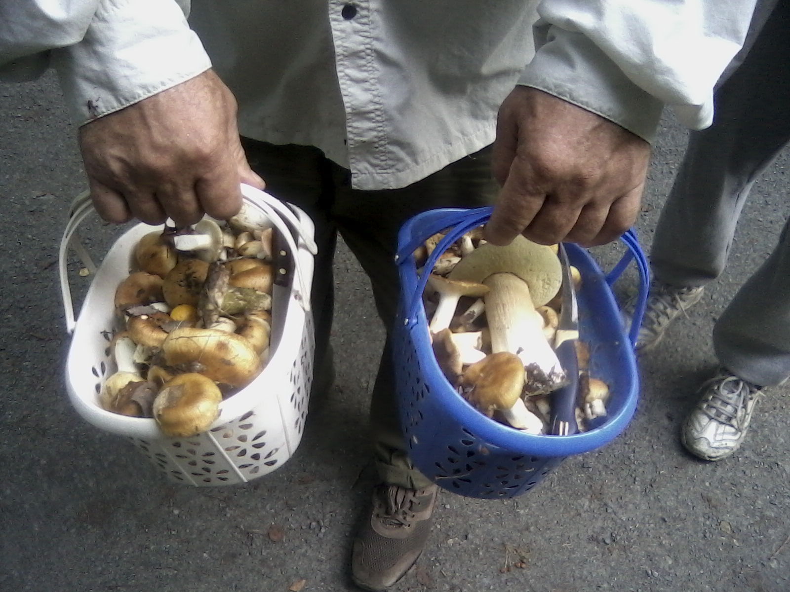 Челябинцы насобирали грибов в северной части парка