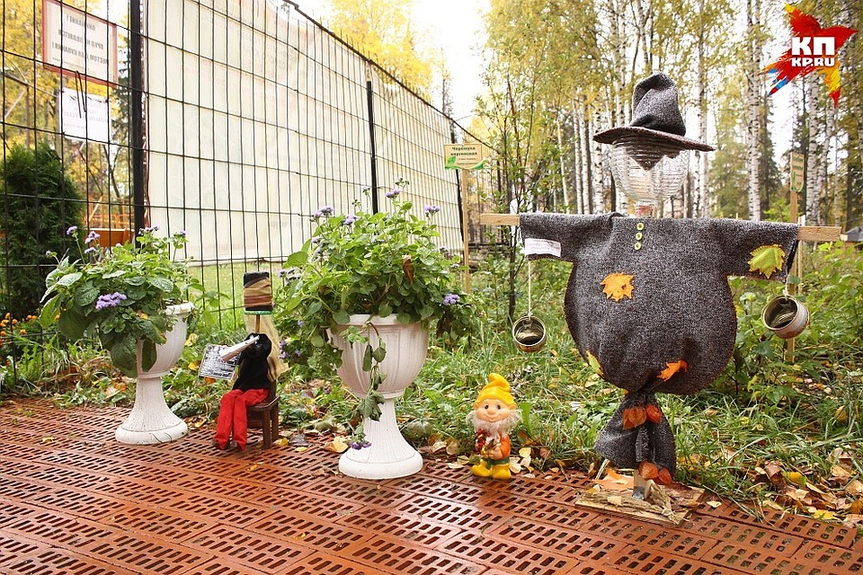 Фото: Сергей Грачев
